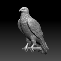 Small bird 3D Printing 509956