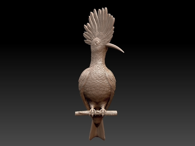 hoopoe 3D Print 509957