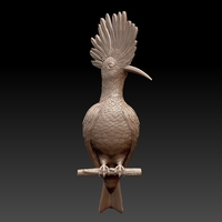 hoopoe - Thumbnail 1