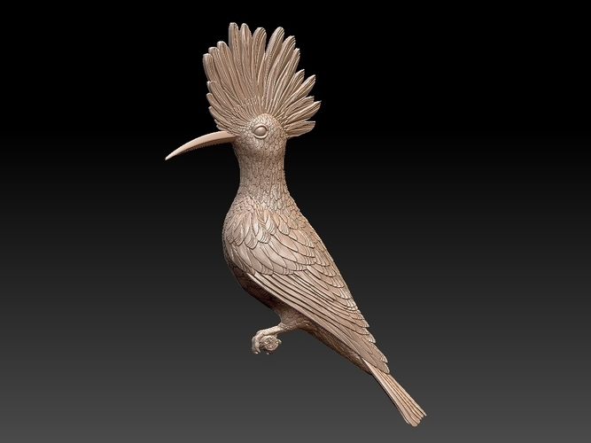 hoopoe 3D Print 509958