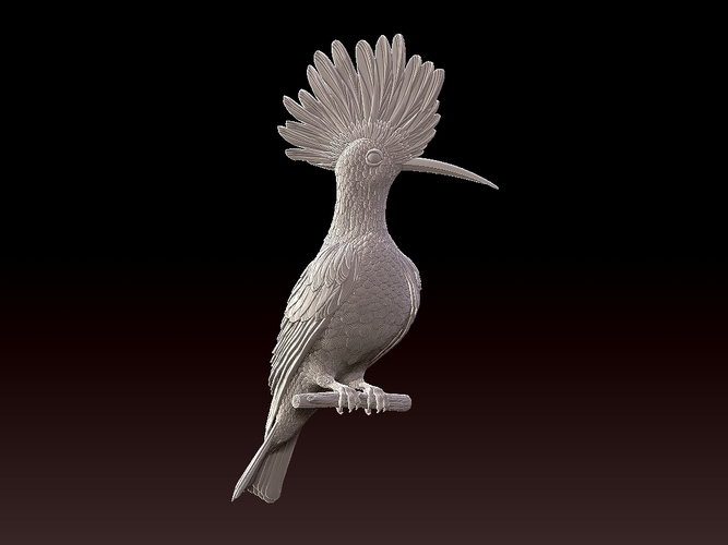 hoopoe 3D Print 509959