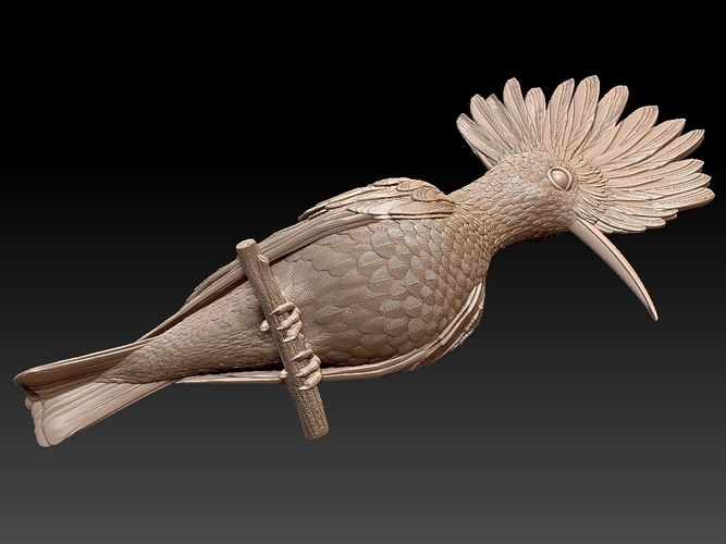 hoopoe 3D Print 509960