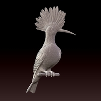 hoopoe - Thumbnail 5
