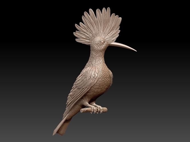 hoopoe 3D Print 509962