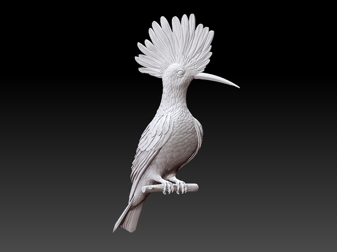 hoopoe 3D Print 509963