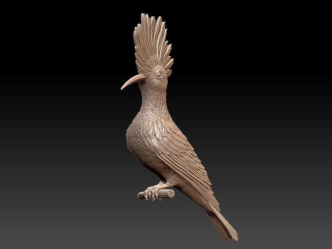 hoopoe 3D Print 509964