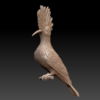 hoopoe - Thumbnail 8