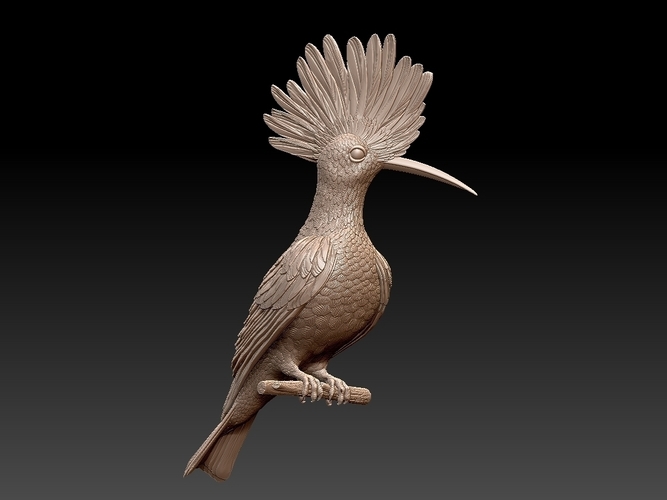 hoopoe 3D Print 509968