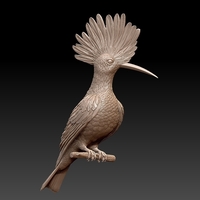 Small hoopoe 3D Printing 509968