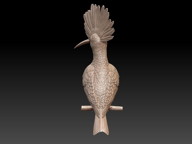 hoopoe 3D Print 509972