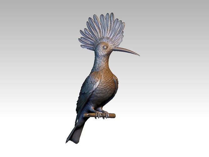 hoopoe 3D Print 509973