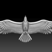 eagle - Thumbnail 1