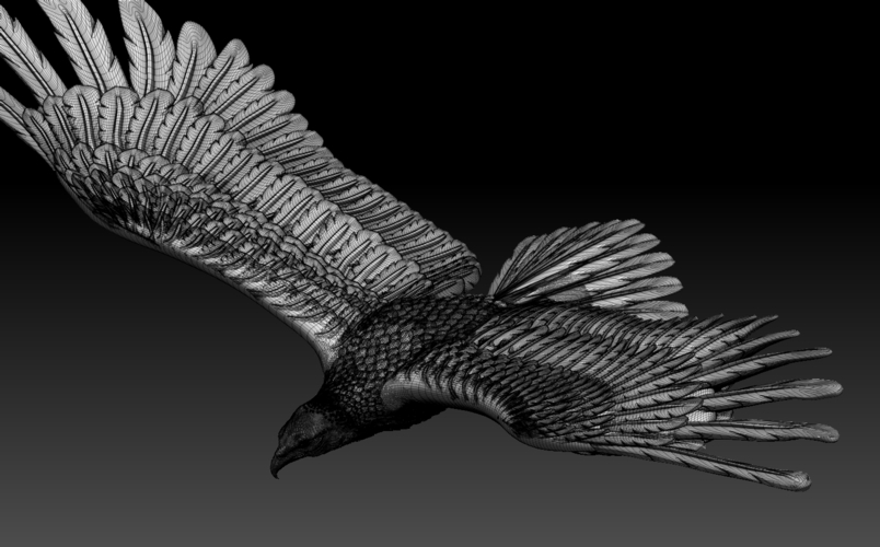 eagle 3D Print 509976