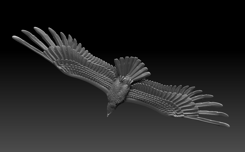 eagle 3D Print 509977