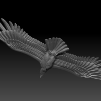 eagle - Thumbnail 4