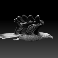 eagle - Thumbnail 6