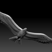 eagle - Thumbnail 8