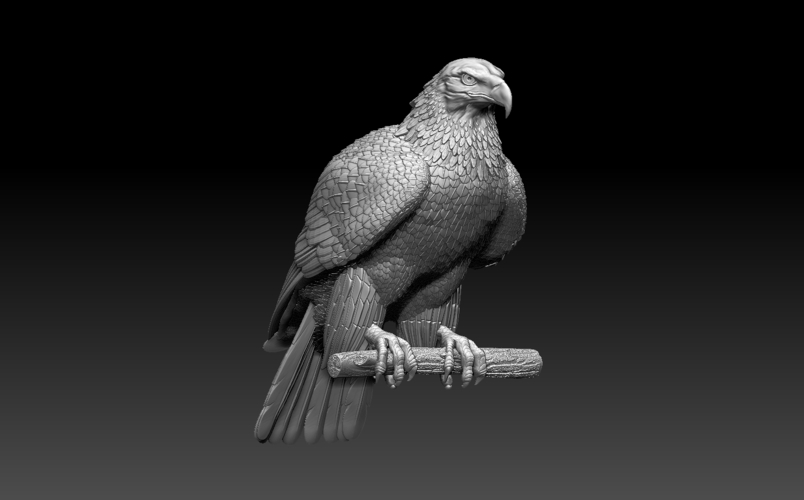 bird 3D Print 509984