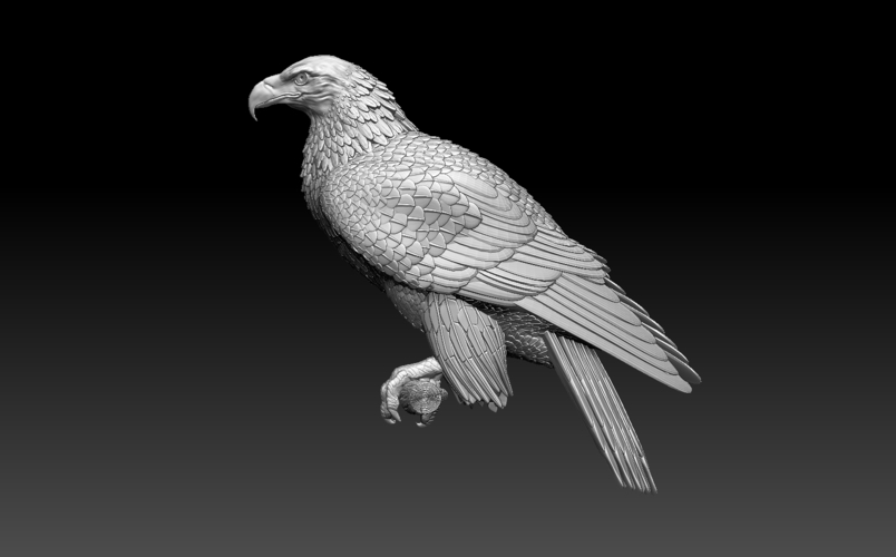 bird 3D Print 509987