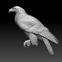 Small bird 3D Printing 509987