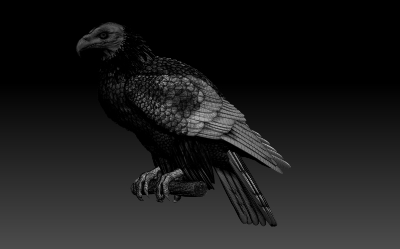 bird 3D Print 509992