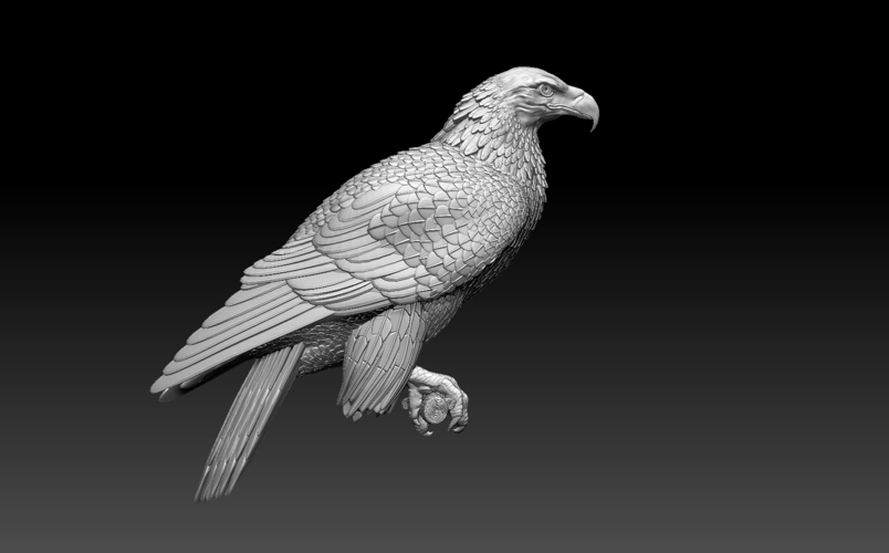 bird 3D Print 509993