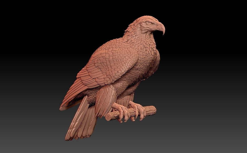 bird 3D Print 509995