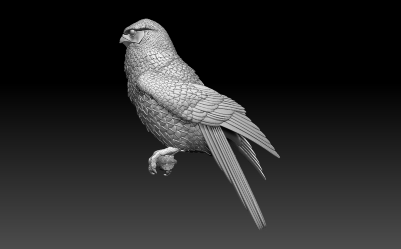 falcon 3D Print 509997