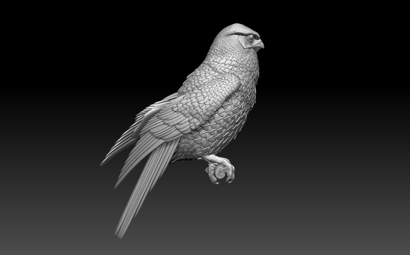 falcon 3D Print 509998