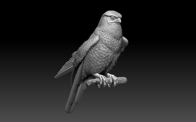 falcon 3D Print 509999