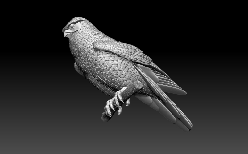 falcon 3D Print 510002