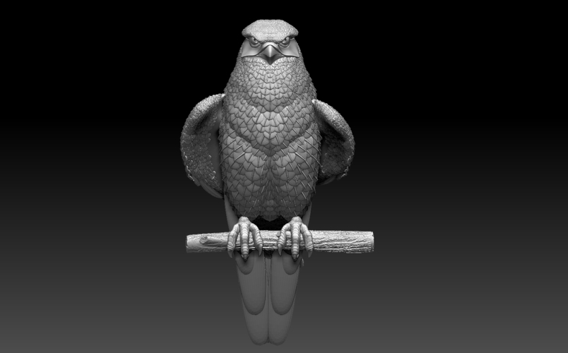 falcon 3D Print 510003