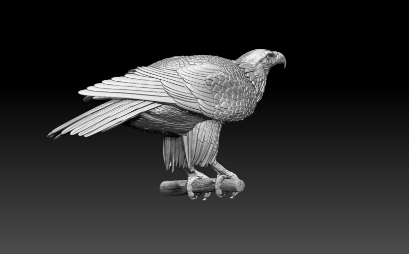 eagle 3D Print 510005