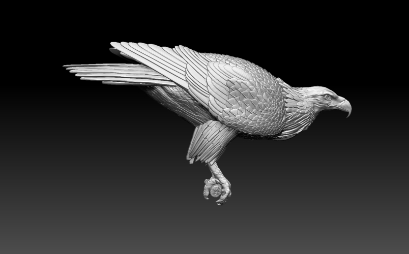 eagle 3D Print 510006