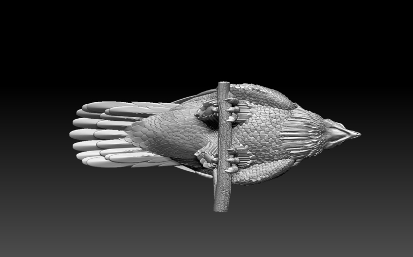 eagle 3D Print 510007