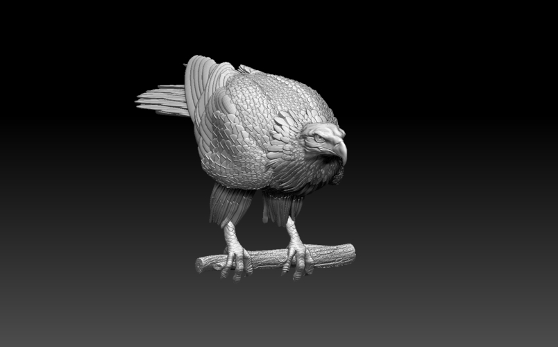 eagle 3D Print 510009