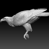 eagle - Thumbnail 6