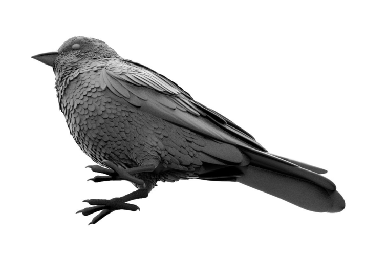 bird 3D Print 510016