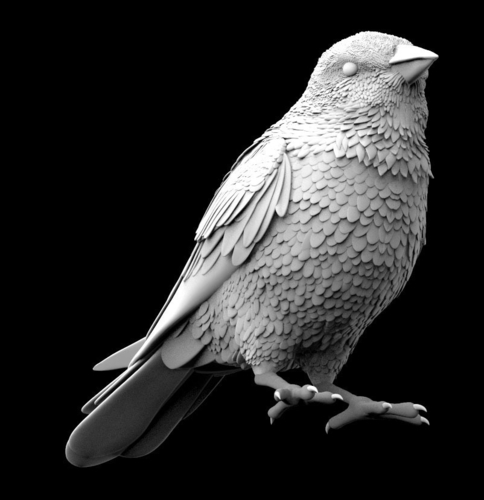 bird 3D Print 510017