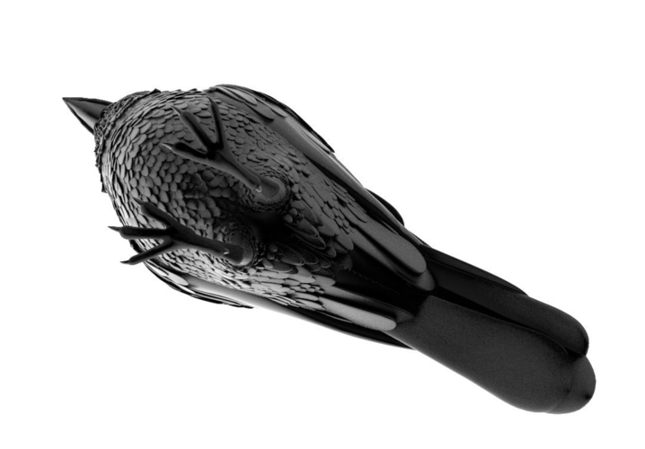 bird 3D Print 510018