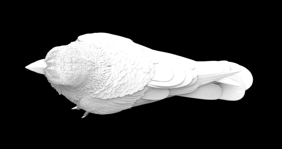 Free STL file Flappy bird 🐦・3D printing idea to download・Cults