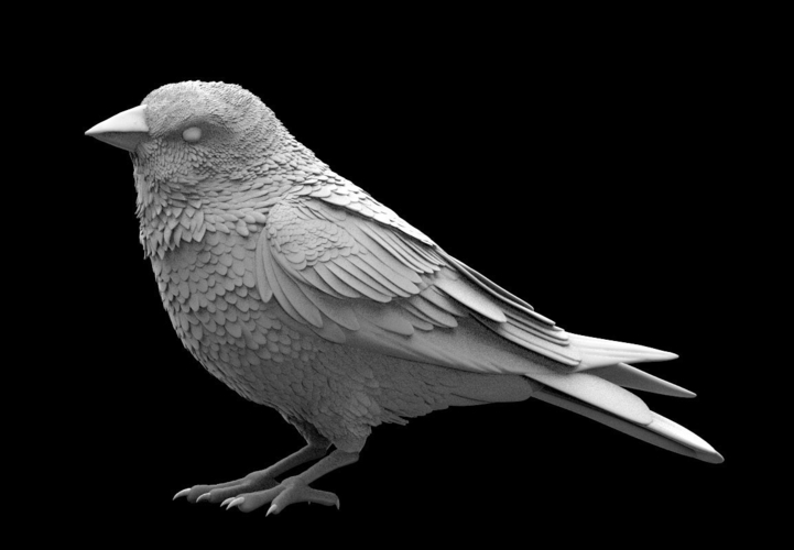 bird 3D Print 510020