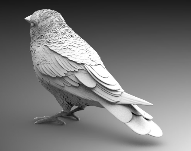 bird 3D Print 510021