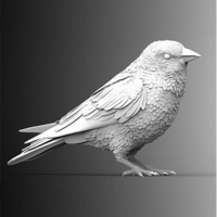 Small bird 3D Printing 510022