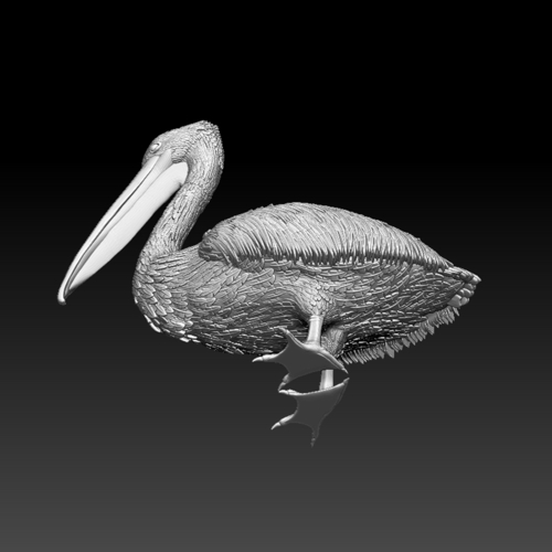 pelican 3D Print 510024