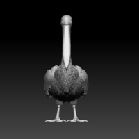pelican - Thumbnail 2