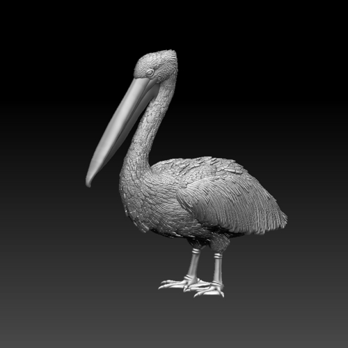 pelican 3D Print 510026