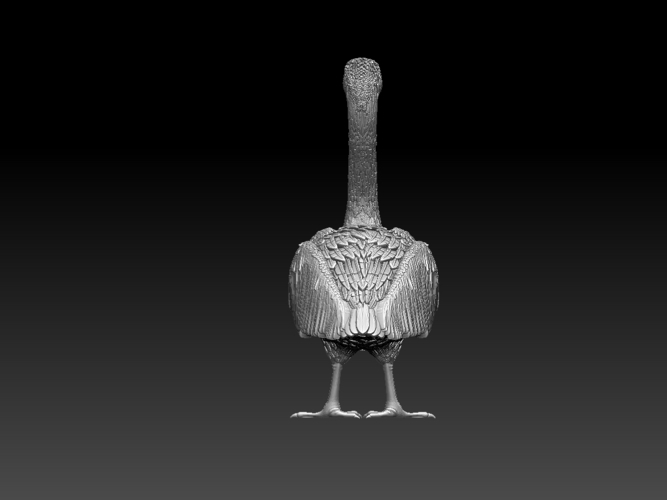 pelican 3D Print 510027