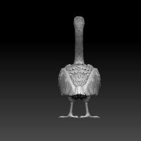pelican - Thumbnail 4