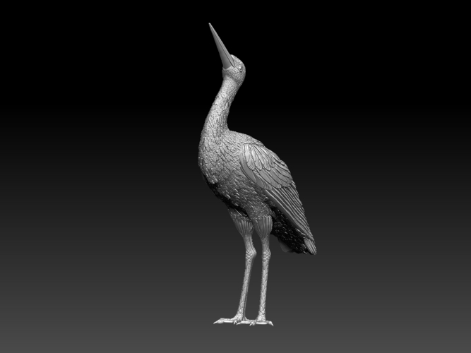 stork 3D Print 510033